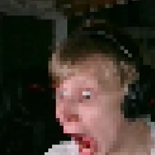 The Fun Minecraftmaxxing